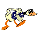 Lakeview crest